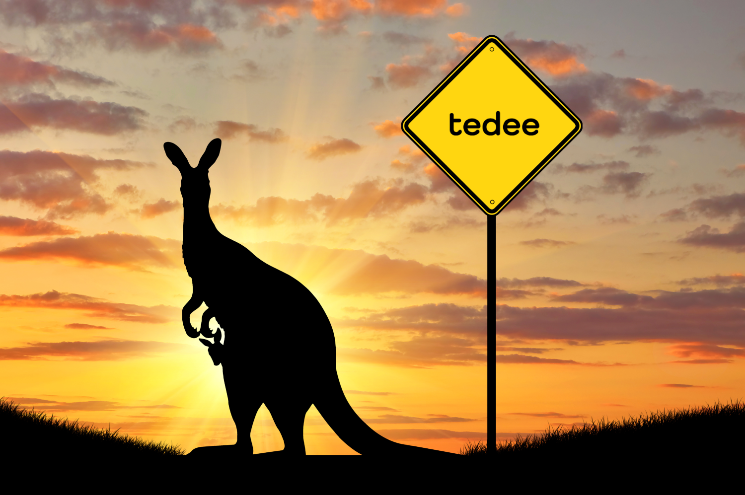 silhouette kangaroo with baby road sign sunset